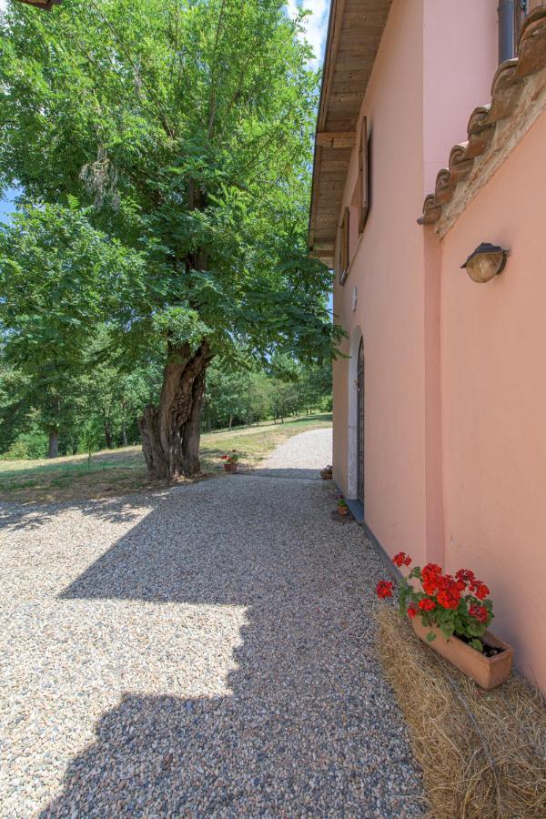 Tenuta Cascina Marenco Gavi Bagian luar foto